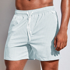 Men’s Vertical Stripe Swim Shorts